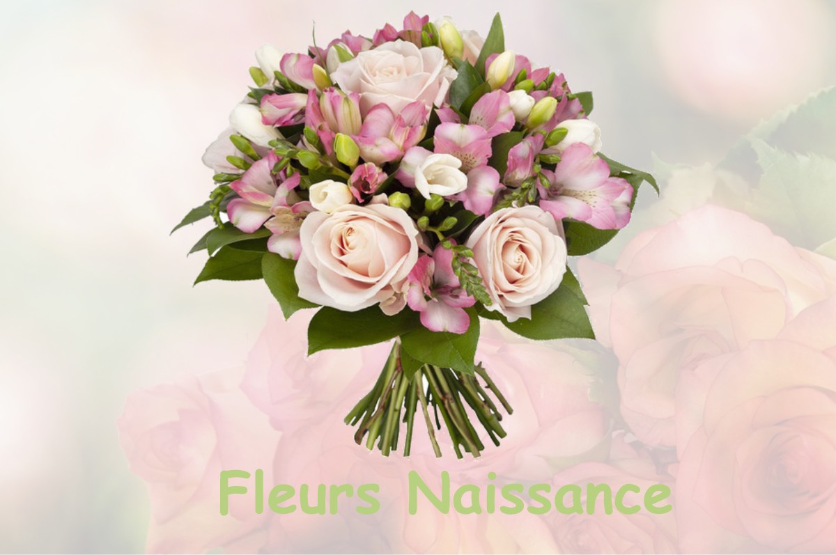 fleurs naissance MAREIL-EN-FRANCE